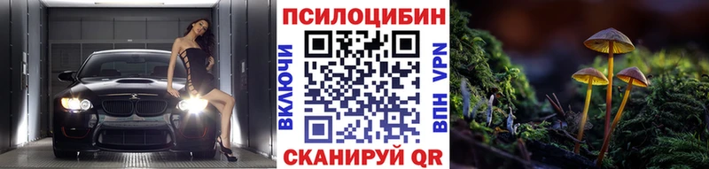 mega tor  Онега  Галлюциногенные грибы MAGIC MUSHROOMS 