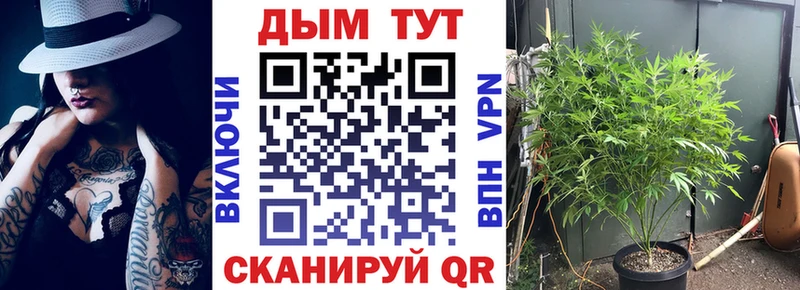 Бошки марихуана ГИДРОПОН Онега